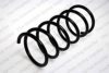 OPEL 312128V Coil Spring
